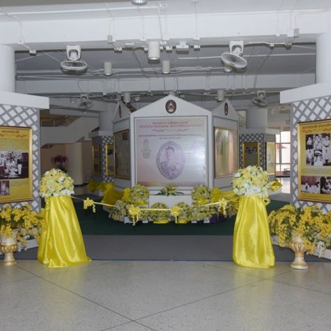 exibition-thekingDSC_8015